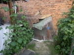 COOLPIX S1200pj, T:10/2500, A:f/3.9, P:2, ISO400, F:50mm, EV:0 <br />11.06.2014 -  19:00:38